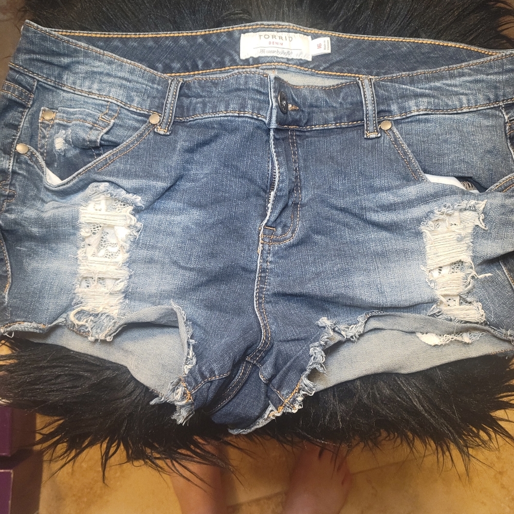 Torrid Shorts